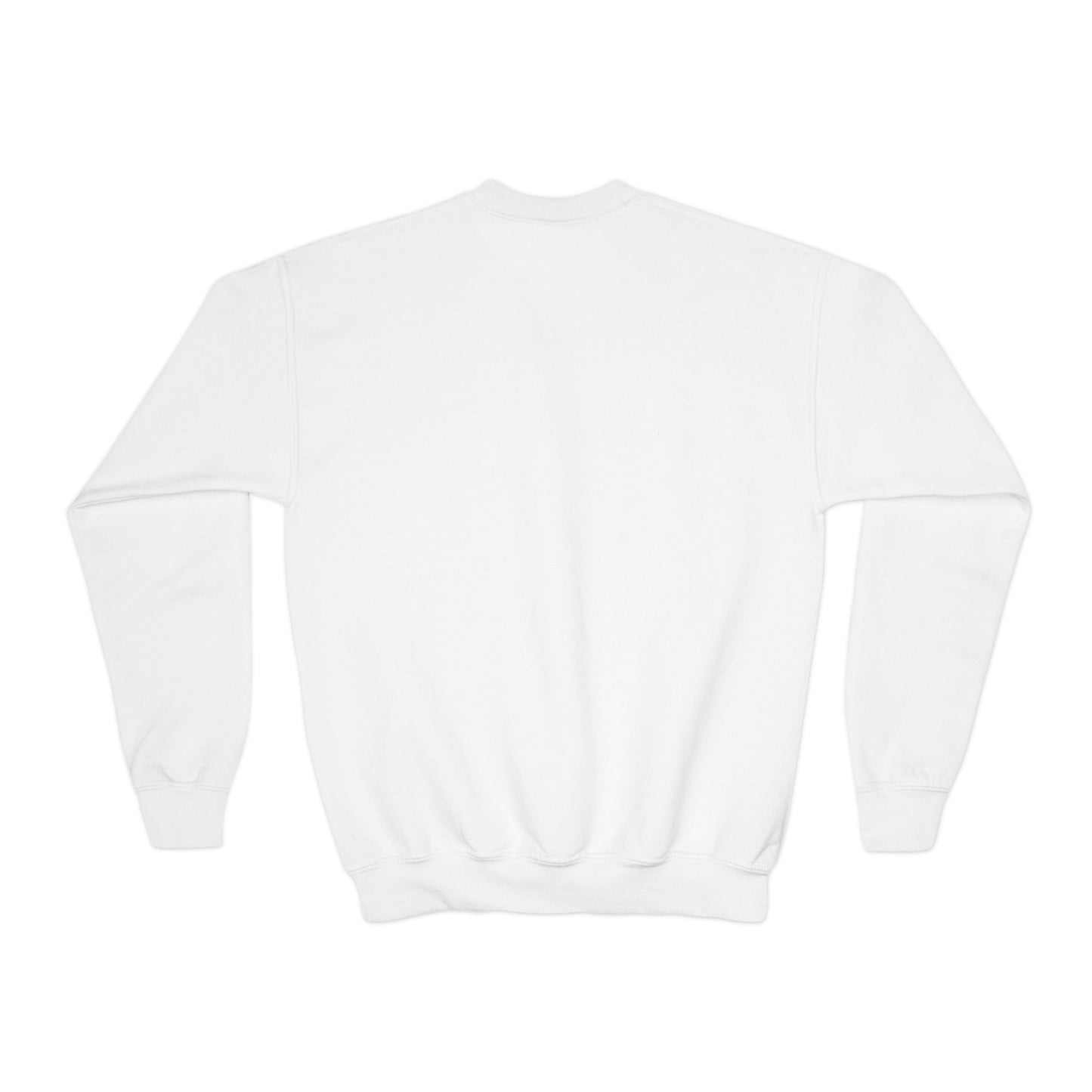 Youth StepBrothers Sweatshirt